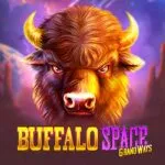 Slot Buffalo Space